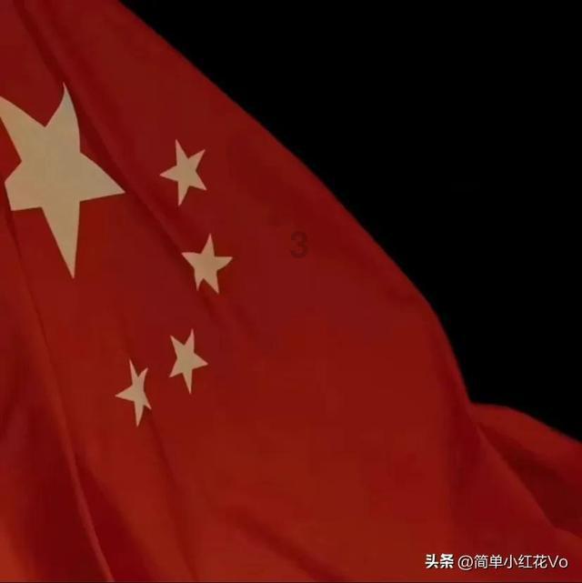 救援呆萌的猫